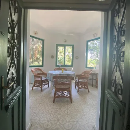 Delibab * Бадачоньтомай