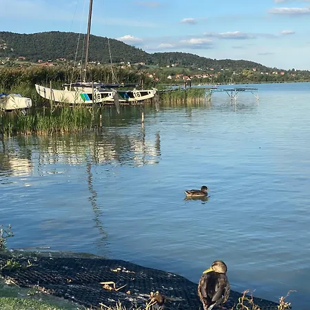 Delibab Tatil Evi Badacsonytomaj
